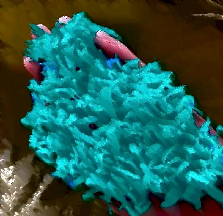 Mulch Epdm Zemin Kaplama 1 Mulch Dökme